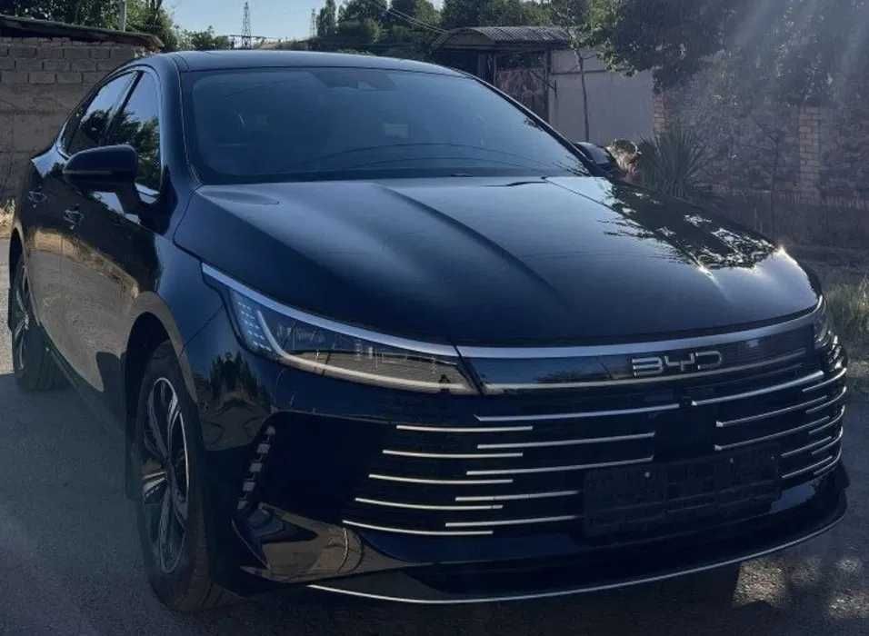 Byd Chazor Luxe 55 km