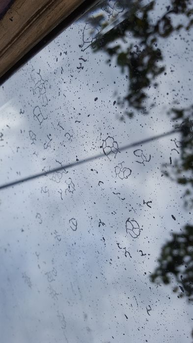 Oglinda mare foarte veche