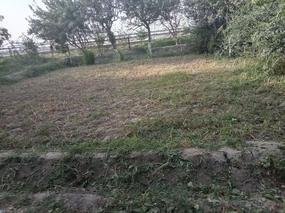 Kvartira kogon sotiladi