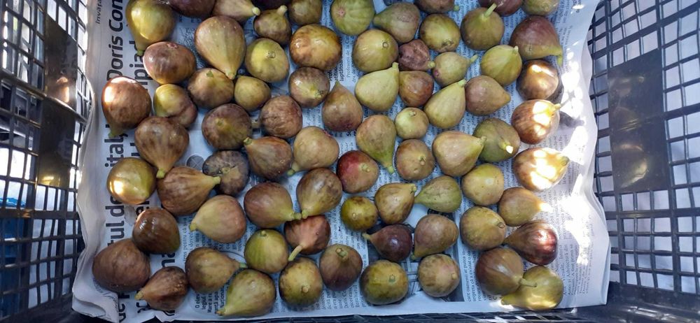 smochine dulci siropoase direct din pom