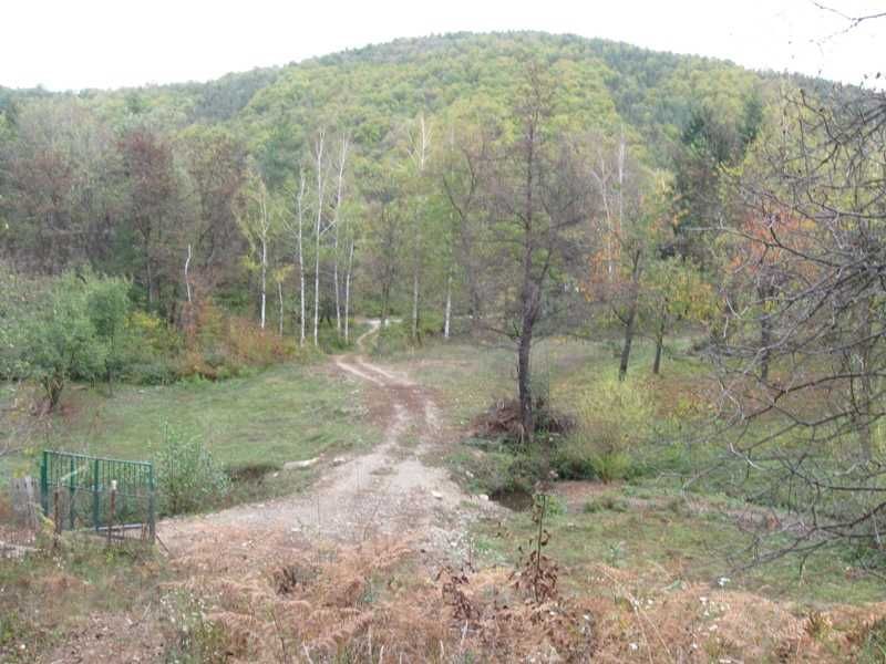 Парцел и гора във в.з. Зелин- Ботевград