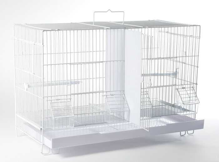 Colivie si cuib pentru pasari exotice