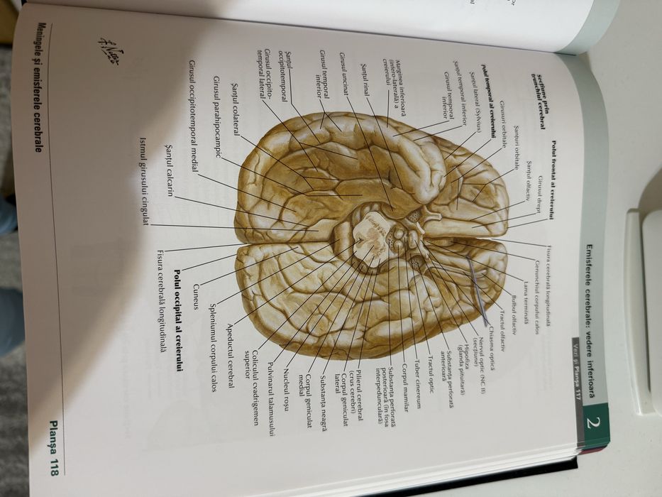 Atlas anatomie editia a 7-a Netter NOU