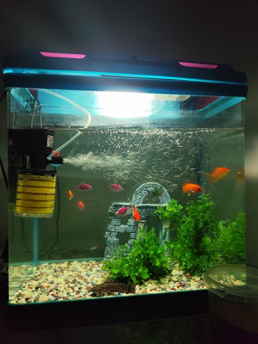 Аквариум 54 литра