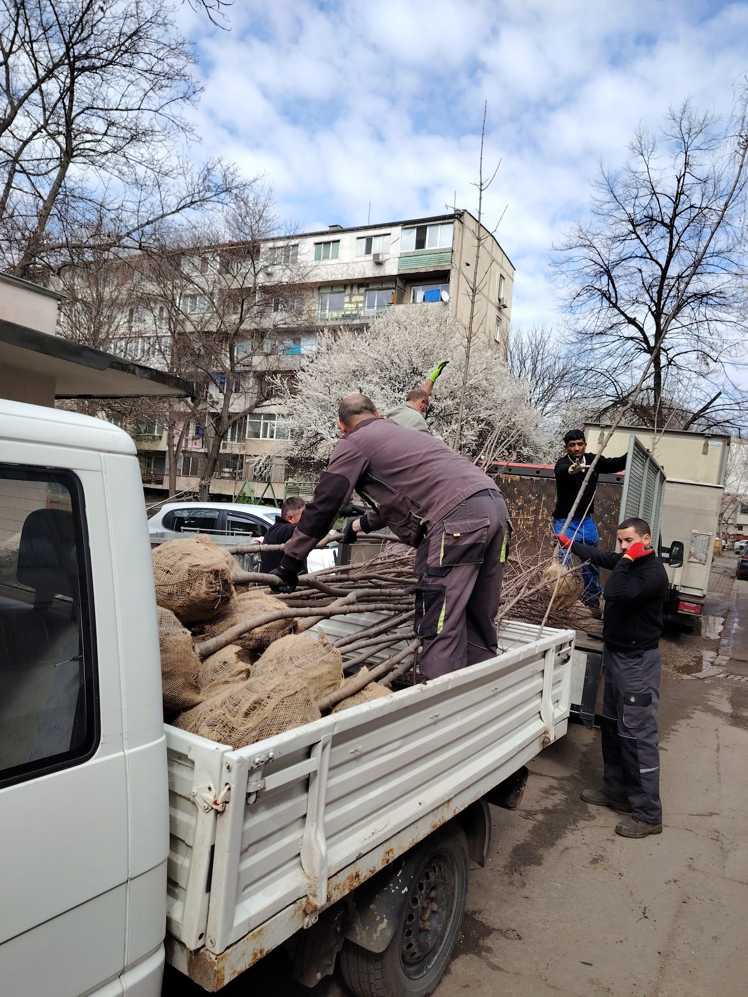 Озеленяване пълна гаранция