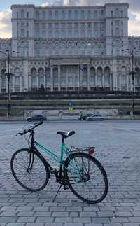 Bicicleta vintage