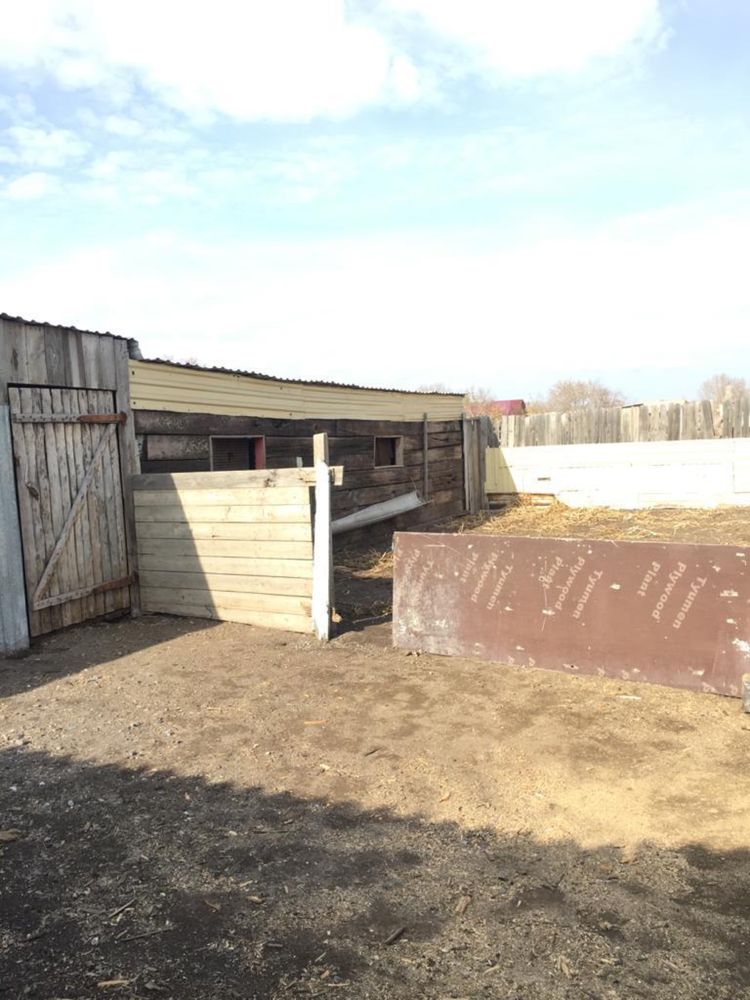 Продам дом Макинск