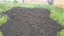 Pamant negru vegetal