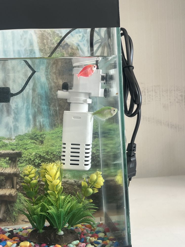 Akvarium hamma jihozlari bilan sotiladi