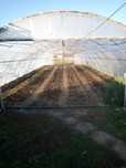 Solar pentu legume