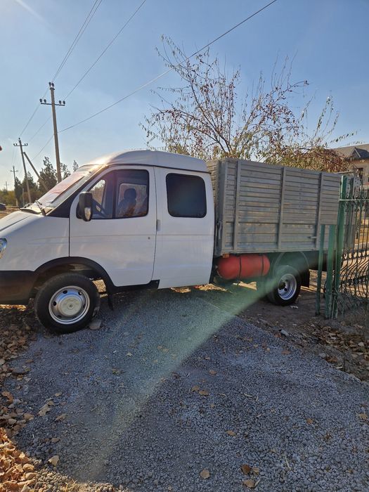 Gazel fermer sotiladi