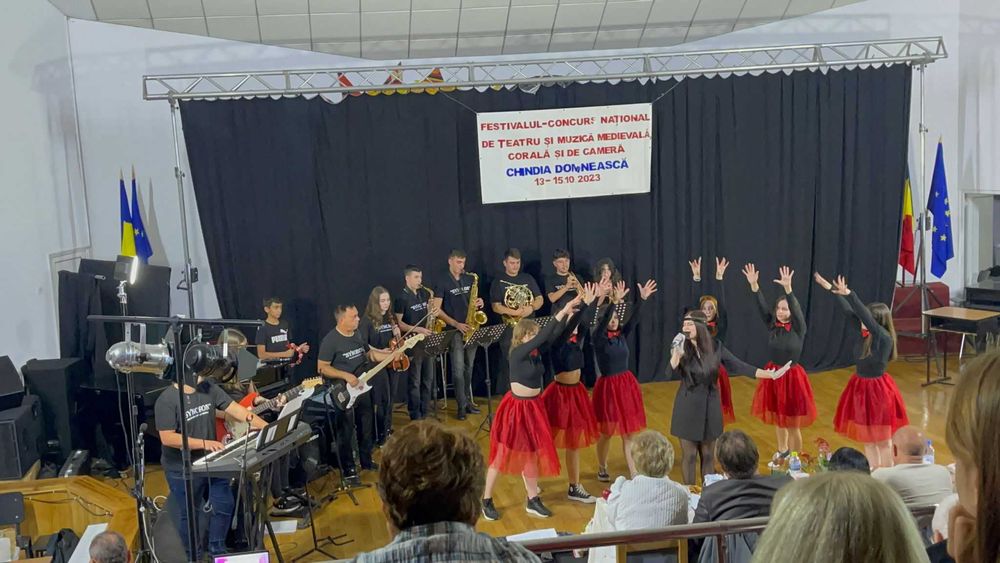 Cursuri canto si instrument, meditatii admitere muzica