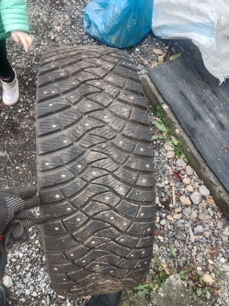 Продам зимнюю резину DUNLOP