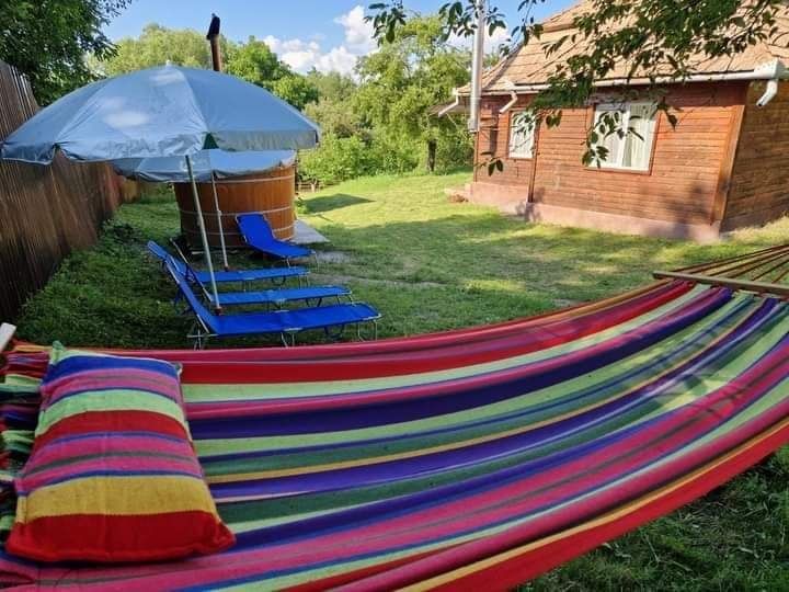 Cabana cu ciubar și piscina