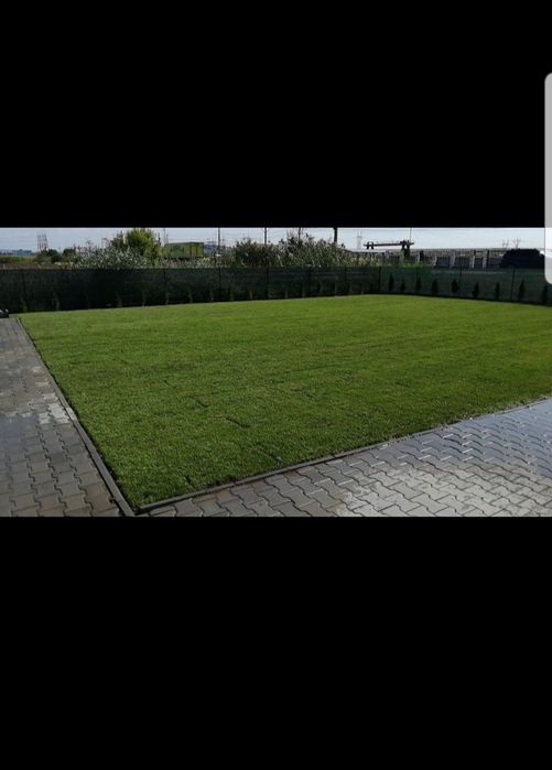 Gazon rulou sport/ calitate extra /asiguram transport și montaj