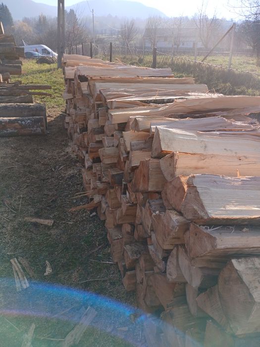 Vând lemn de foc esență tare fag