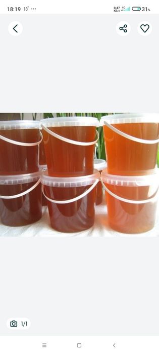 Продам натуральный мёд