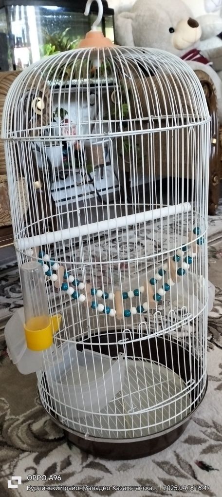Прдам клетку для попгаев 9000т.тенге