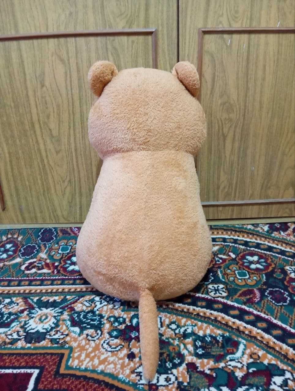 Кундуз амаки кореядан олиб келинган