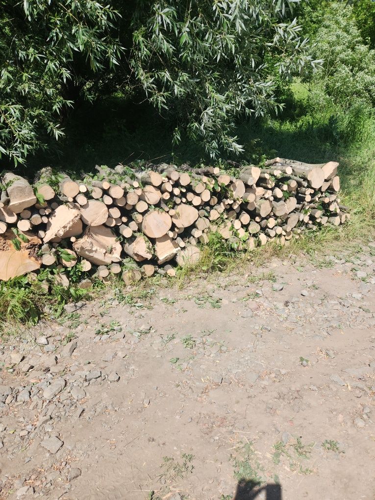 Vand lemne de foc