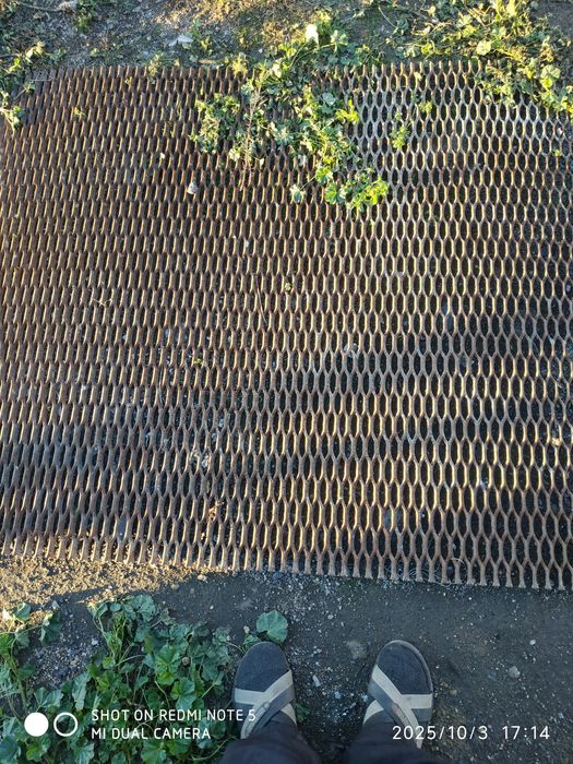 Продам Рабица просечка