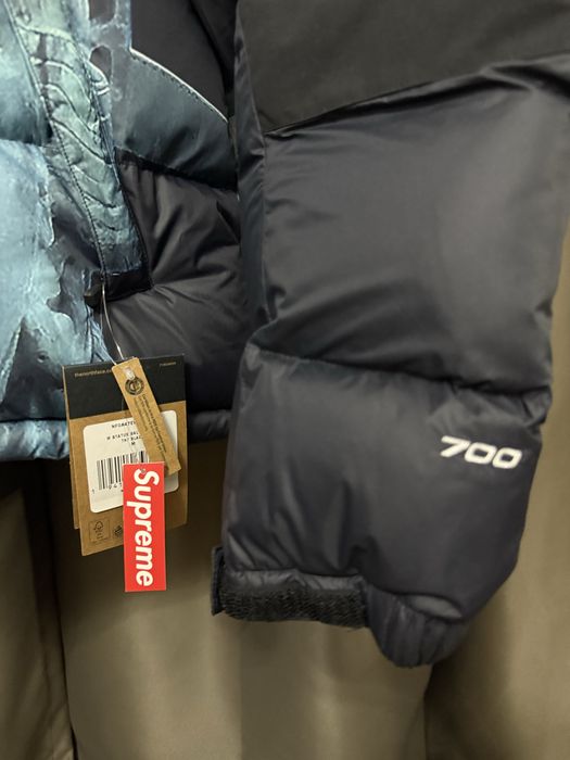 Supreme x The North Face Statue of liberty