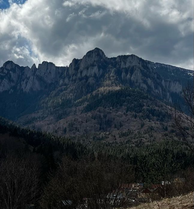 Teren Izvorul Muntelui