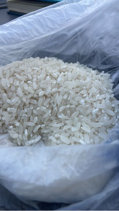 Рис күріш лидер сыр сұлу