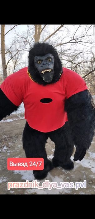 Горилла, Кинг-Конг, Аниматор, Выезд в любое время, г. Павлодар