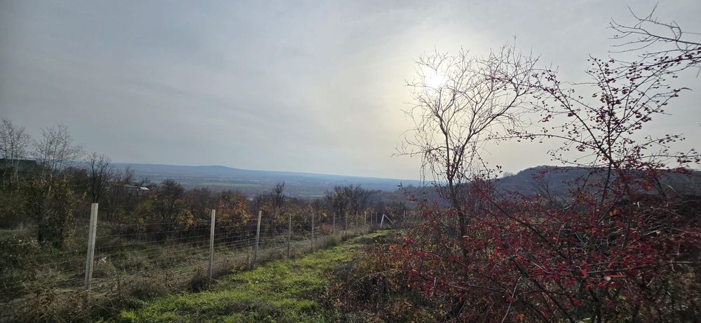 Vând urgent teren pentru căsuța de vacanta - gradina pe dealuri Oradea