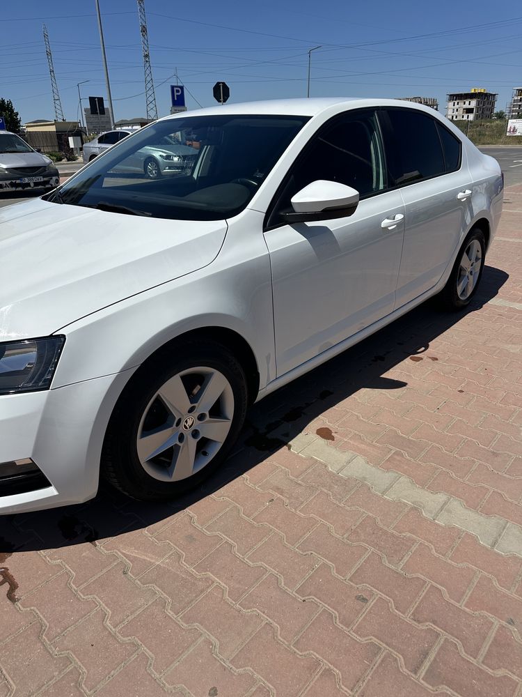 Skoda Octavia Berlina 1.0 TSI Style model 2019 Facelift
