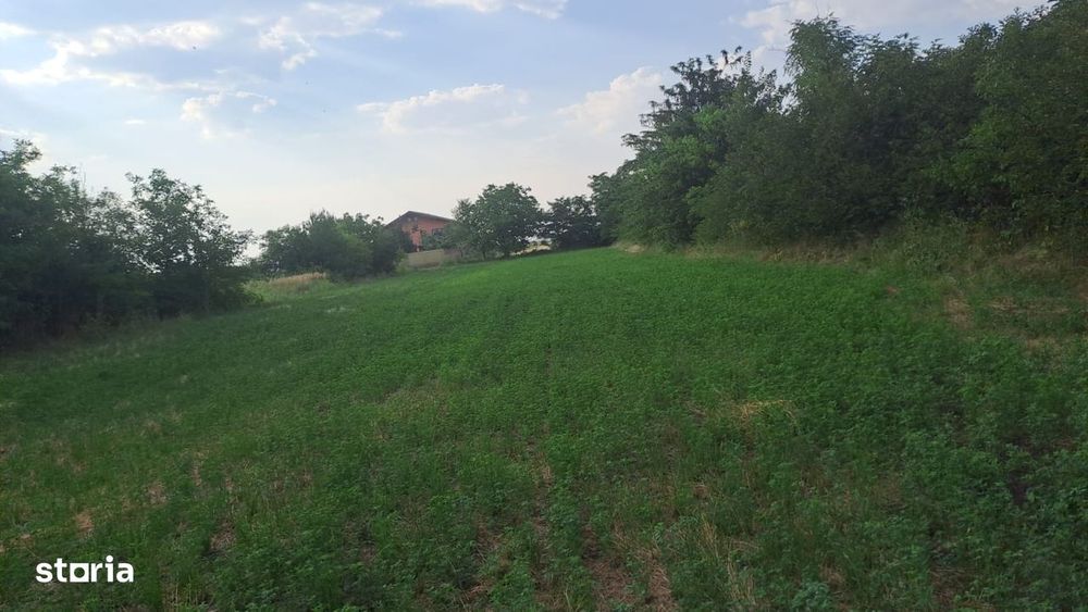 Teren 3000mp de vânzare în zonă liniștită