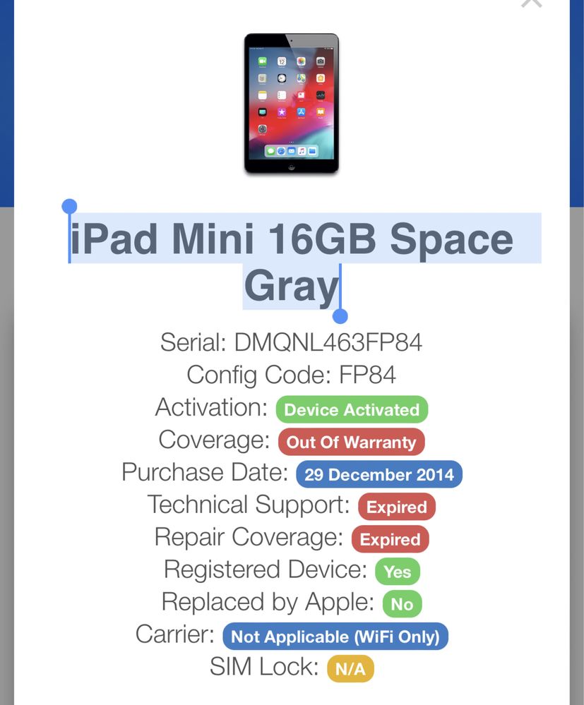 iPad Mini 16GB Space Gray