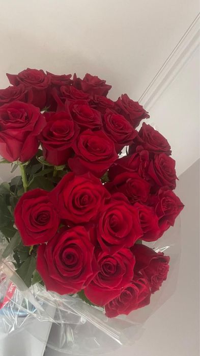 Свежые метровые Розы