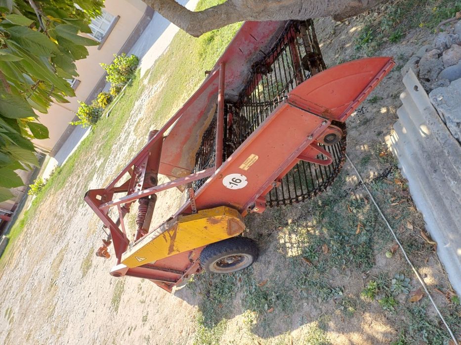 Kartoshka kapalka