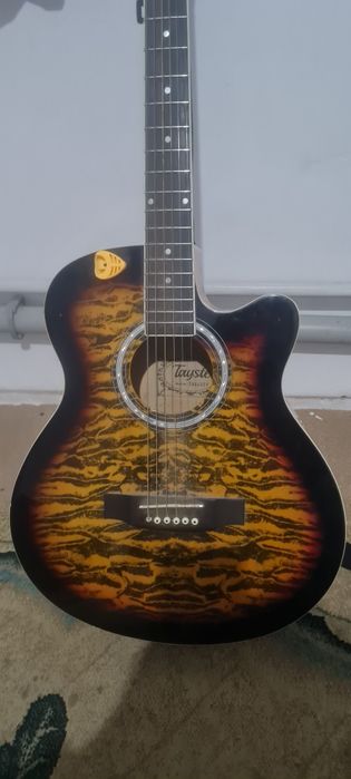 Accustik tayste gitara kafolati bn