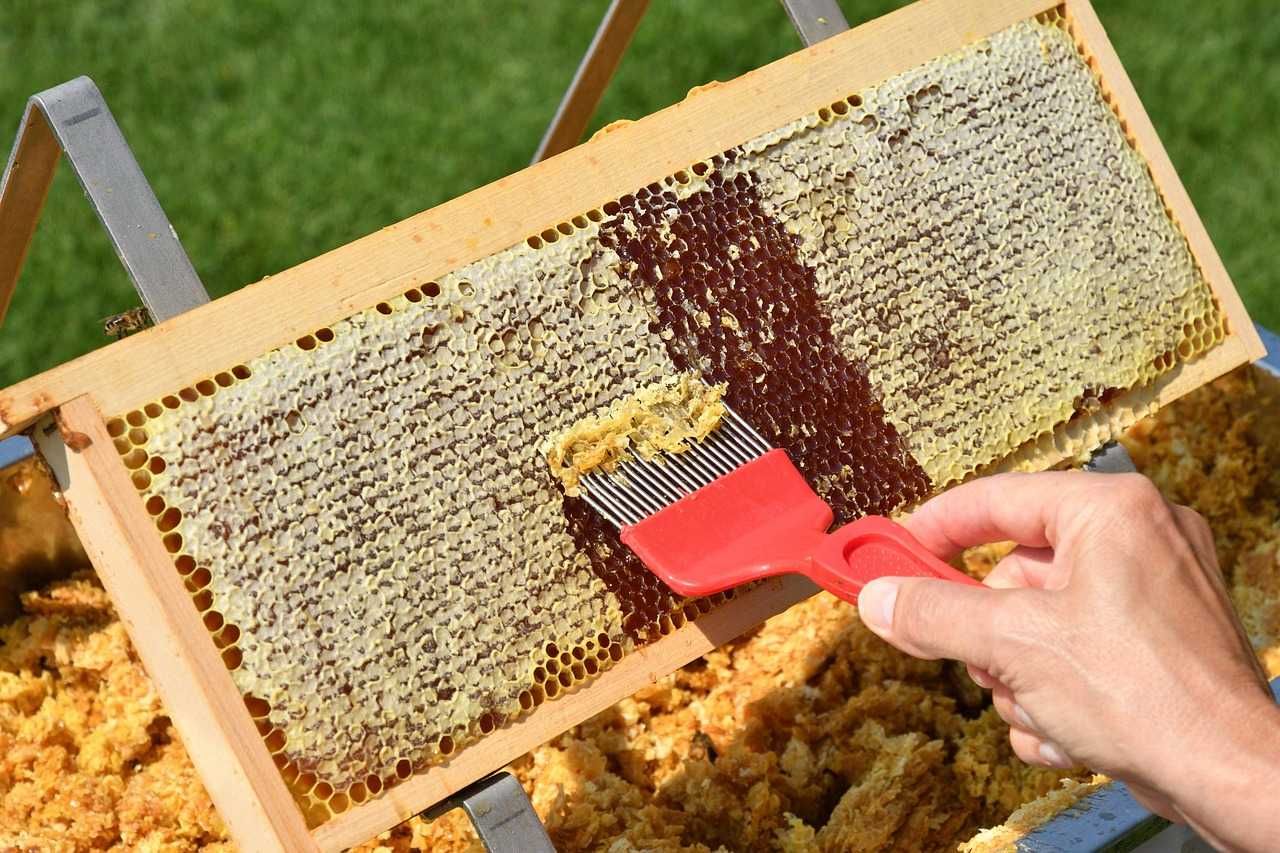Натурален пчелен мед ЮЛИ 2025