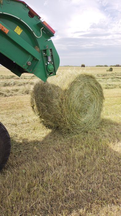 Продам рулоны 2025