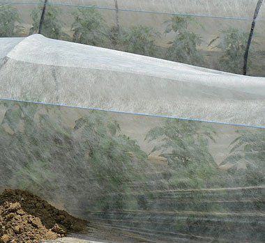 FOLIE ANTI-INGHET/AGRYL 19gr/mp= 12,65x100m; 15.8x100m; 18.95x100m