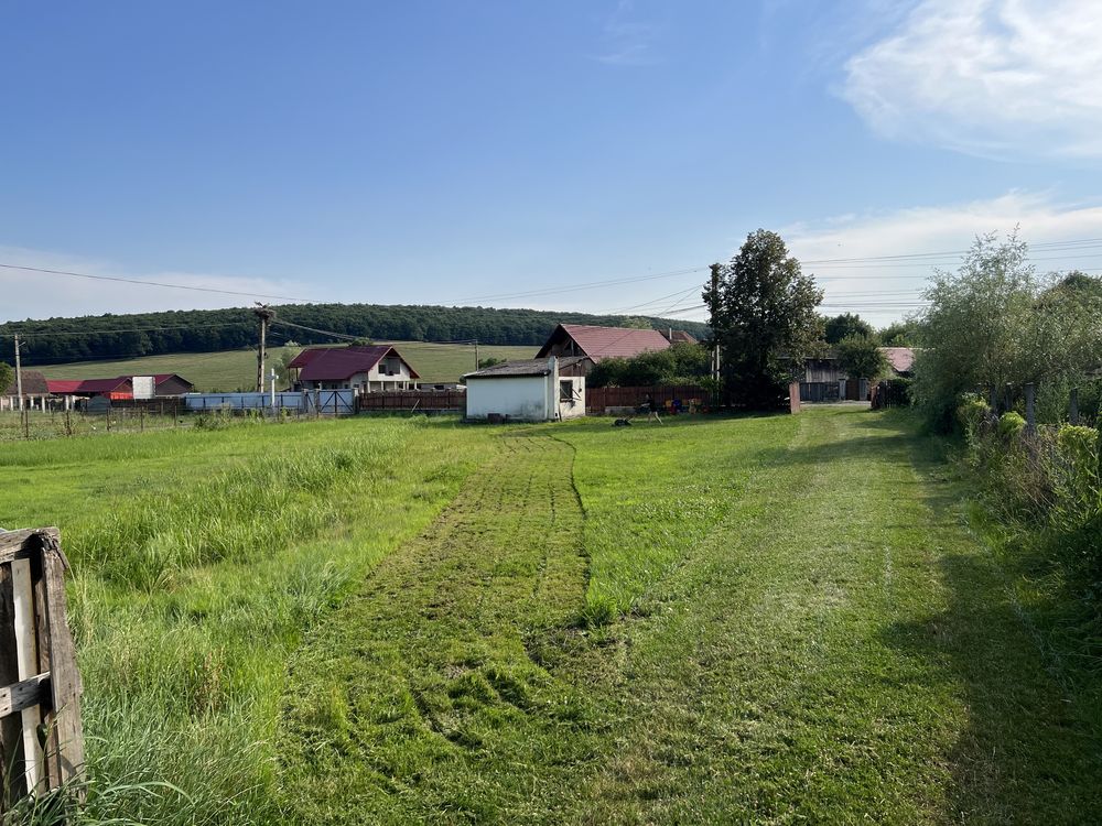 Casa de vanzare in Baita 70 arii teren