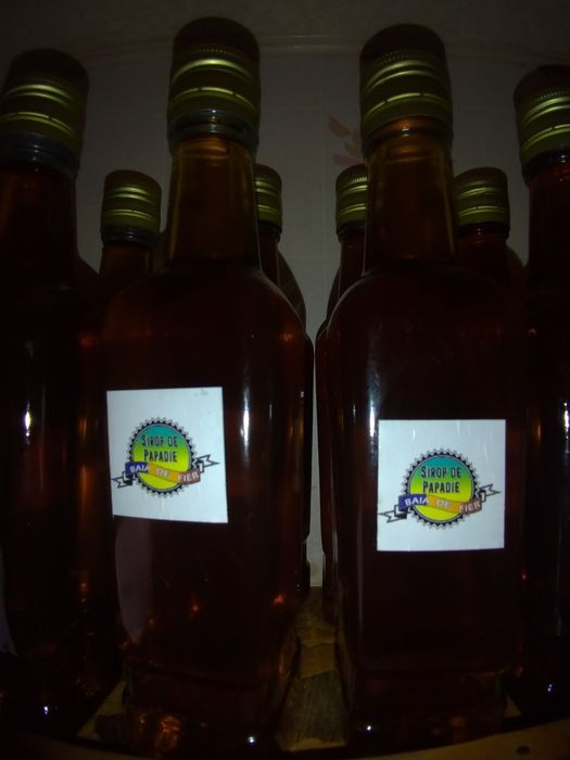 Vând sirop (brad/soc/păpădie) ambalat la sticla de 250 ml.