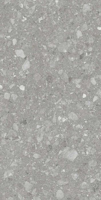 Gresie Terra Grey F P 600x1200x8 R Mat