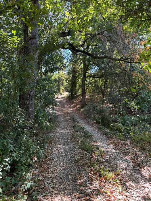 Teren intravilan înconjurat de pădure – Vârfurile, Prahova