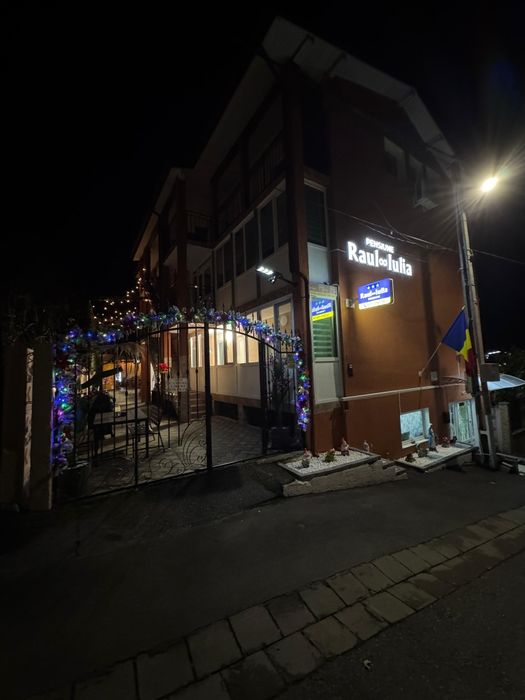 Cazare Pensiune Vila Raul&Iulia Baile Felix