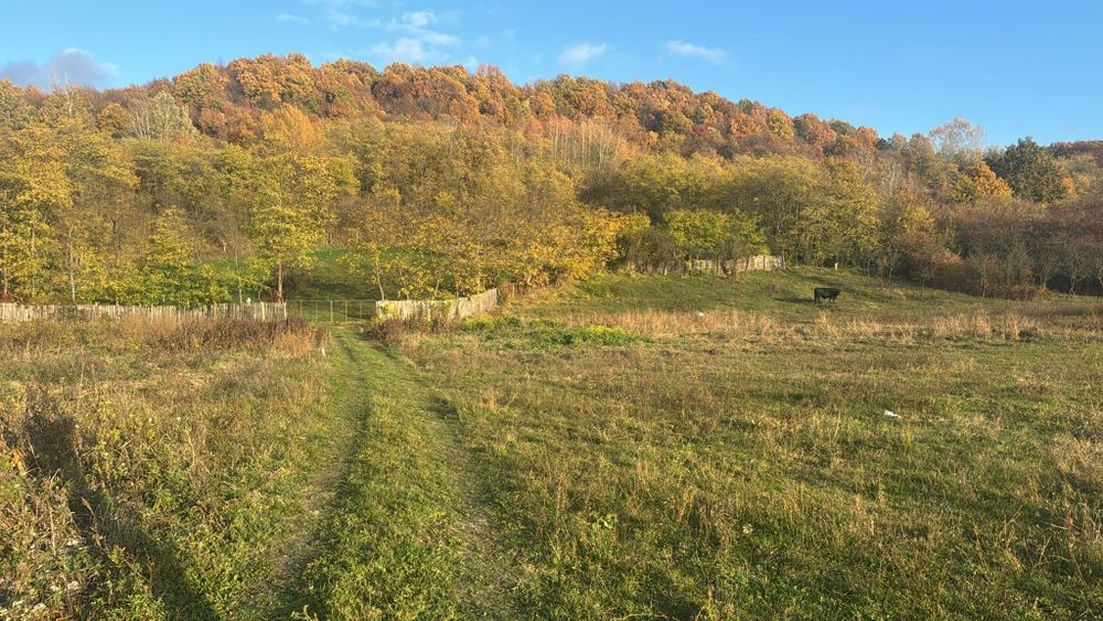 Teren deosebit pentru casa / cabană lângă pădure preț excelent
