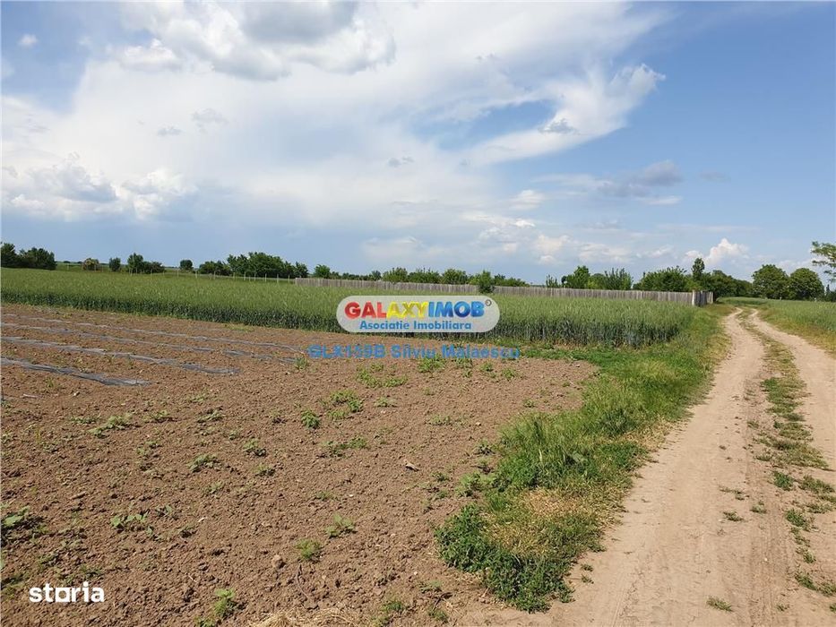 Crevedia - Darza - Teren 13.055 Mp