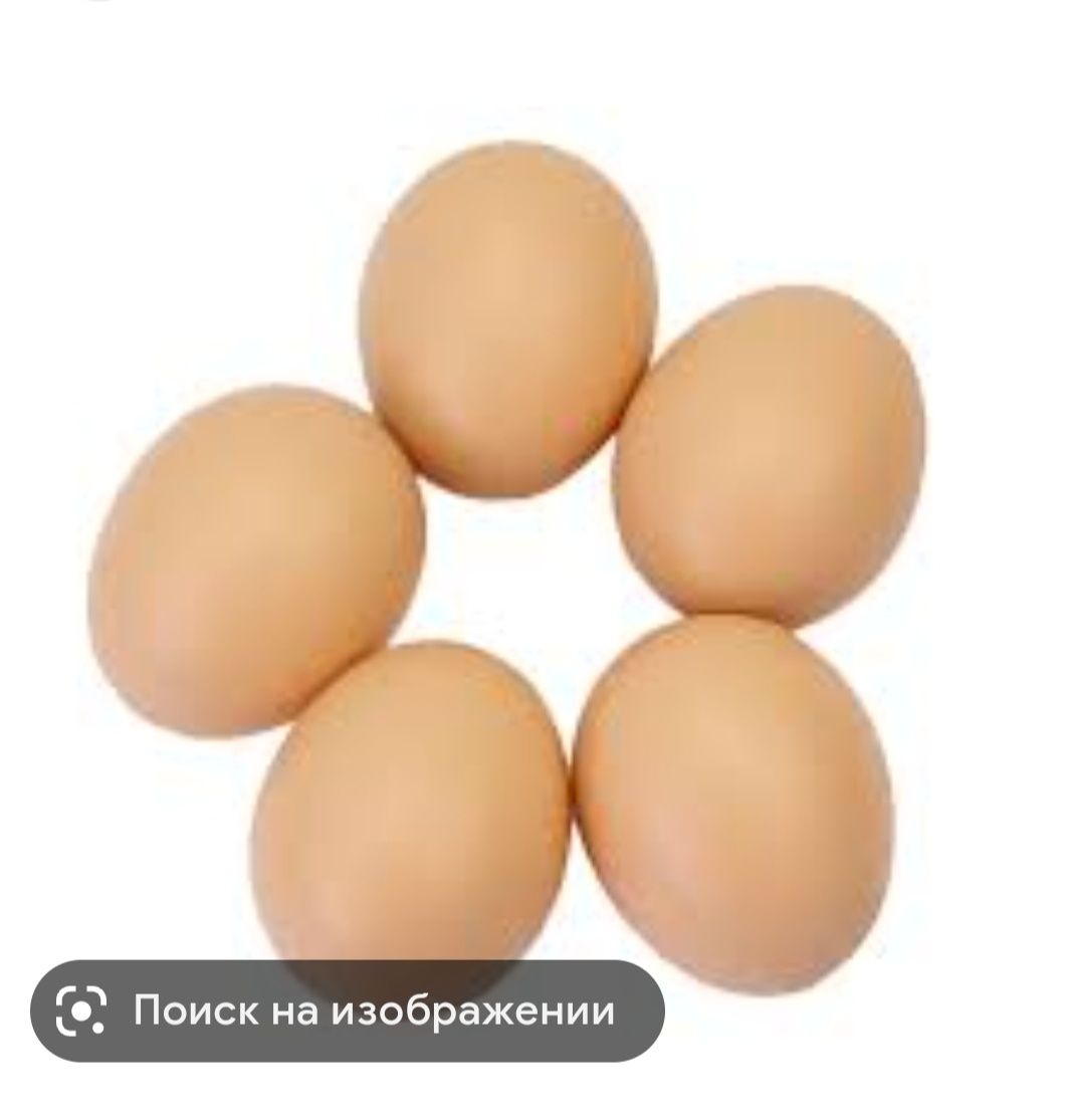 Продам домашнее яйцо