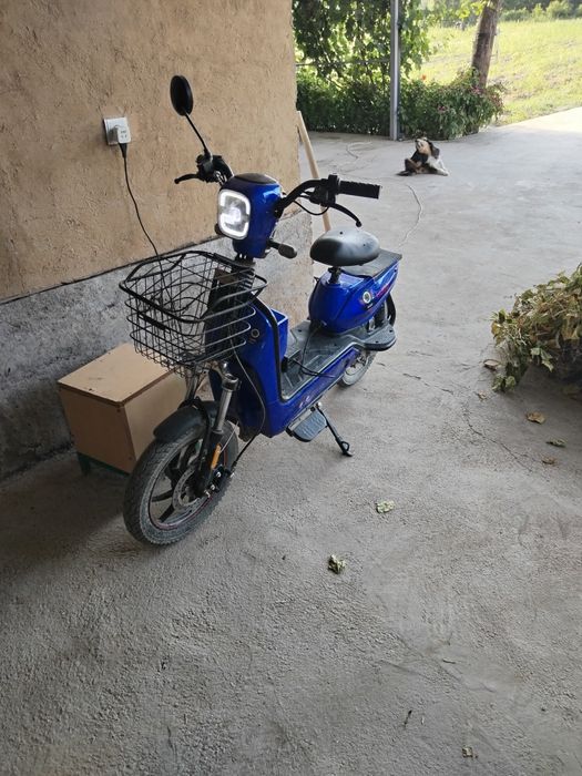 Sukutrir holati yaxshi