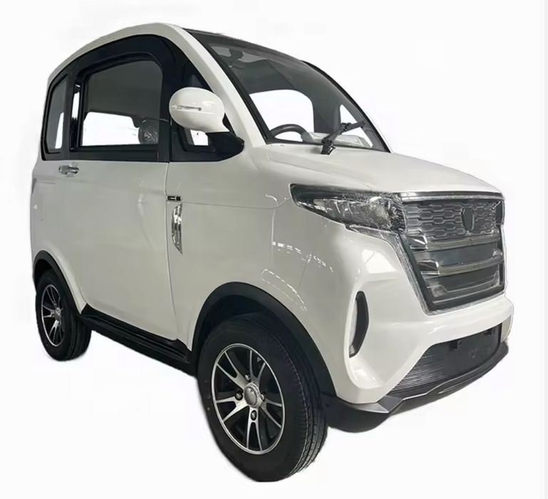 Masina electrica fara permis