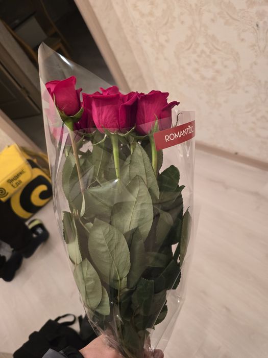 Продаю розы 11шт